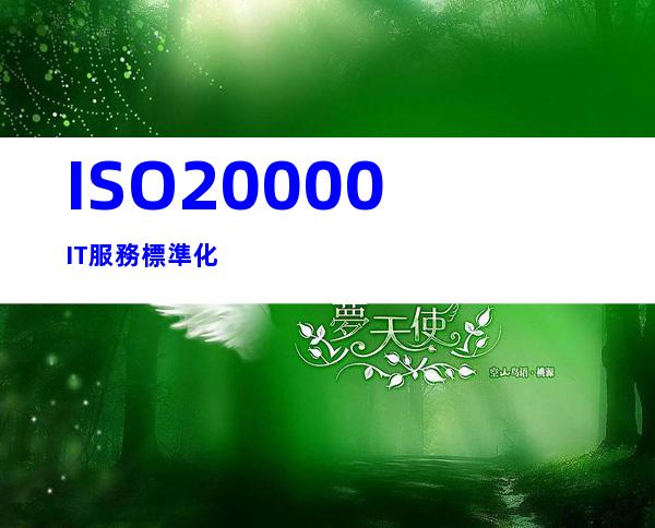 ISO20000IT服務標準化