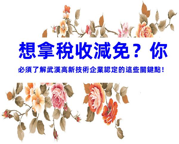 想拿稅收減免？你必須了解武漢高新技術企業認定的這些關鍵點！