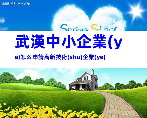 武漢中小企業(yè)怎么申請高新技術(shù)企業(yè)