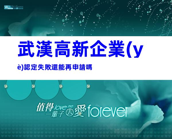 武漢高新企業(yè)認定失敗還能再申請嗎