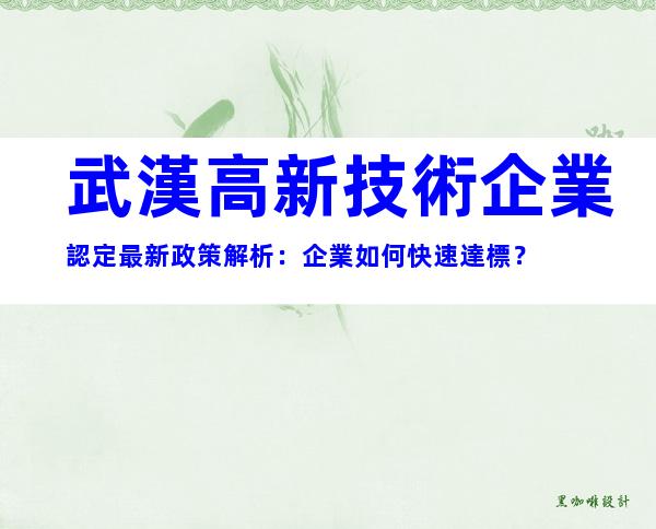 武漢高新技術企業認定最新政策解析：企業如何快速達標？