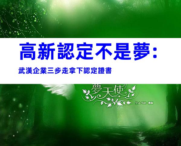 高新認定不是夢:武漢企業三步走拿下認定證書